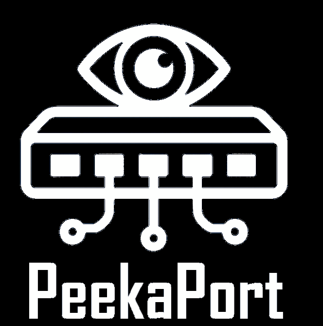 Peekaport network asset mapping platform